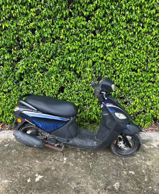 Espero 50cc Blue Card 2020, фото 3