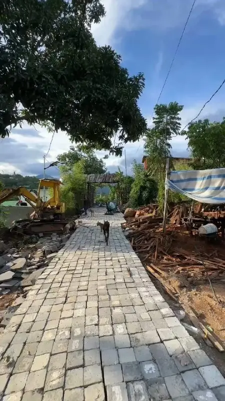Дом с 4 спальнями на Севере, фото 3