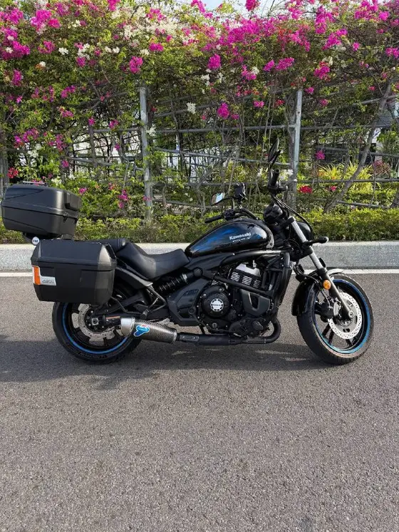 Kawasaki Vulcan 650 2021, фото 1