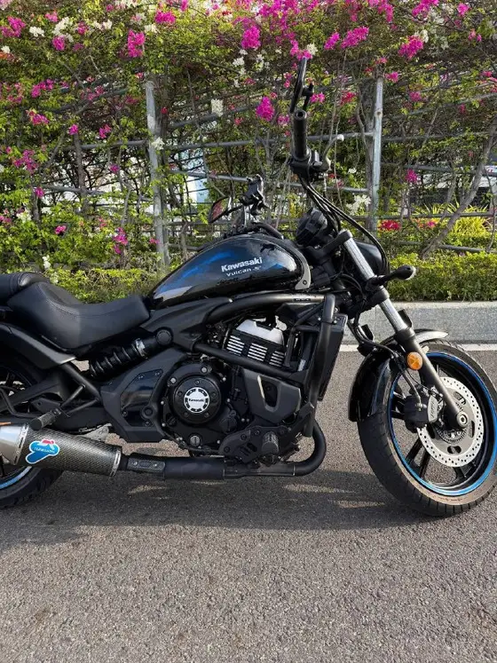 Kawasaki Vulcan 650 2021, фото 2