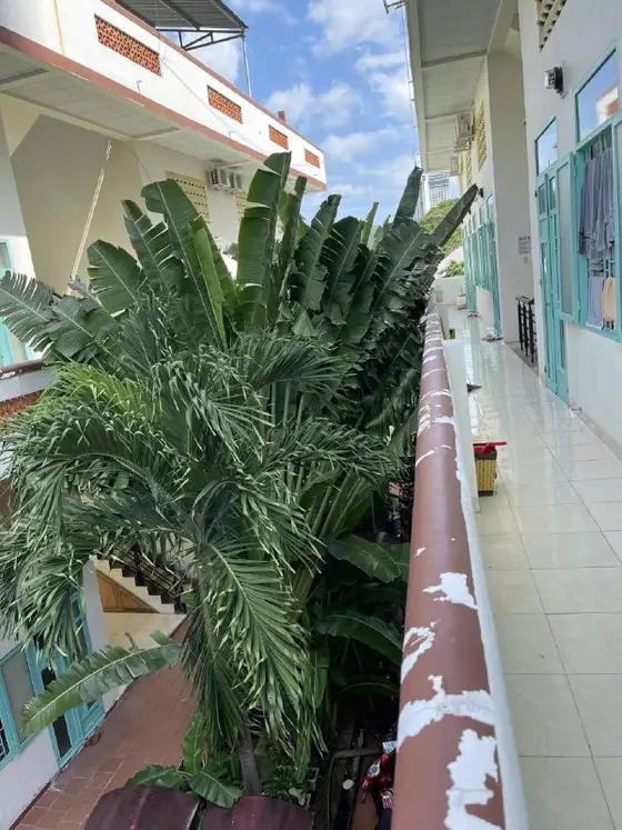 Студия на улице Dương Hiến Quyền, фото 3