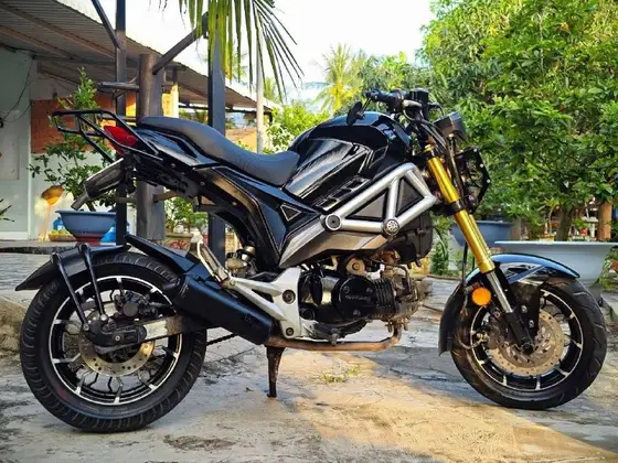 Кастомный байк аналог Honda MSX, фото 2