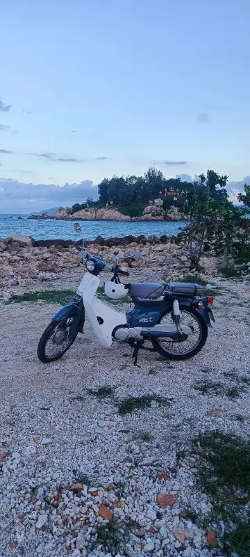 Honda Cub 50, фото 1