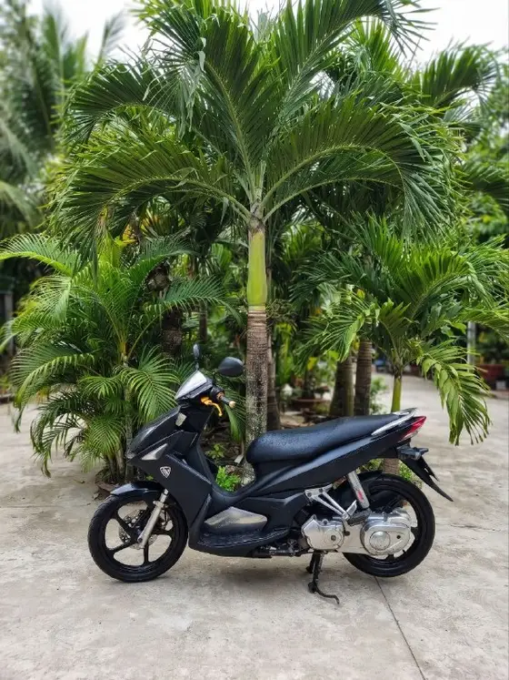 Yamaha nouvo 135cc, фото 2