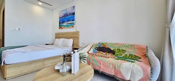 Студия в ЖК Scenia Bay, фото 3