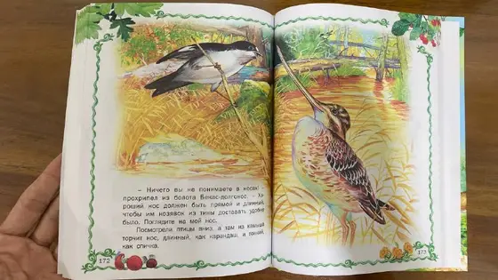 Детская книга новая 231 страница, фото 2