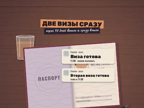 Оформление визы e-visa, фото 3