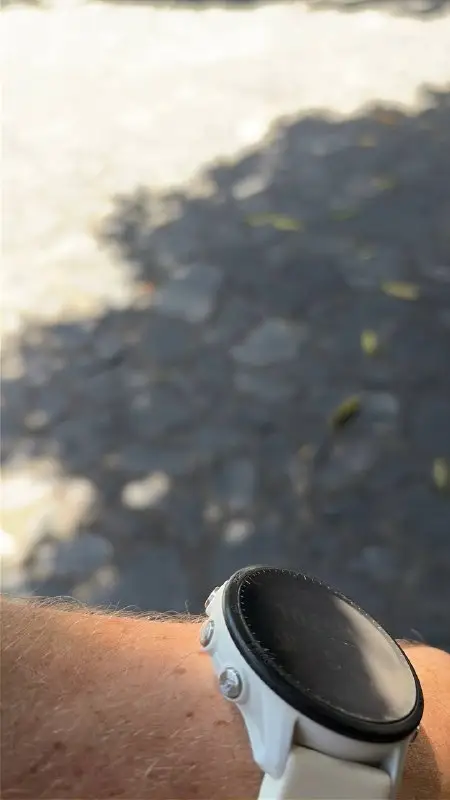Часы Garmin Forerunner 955, фото 3