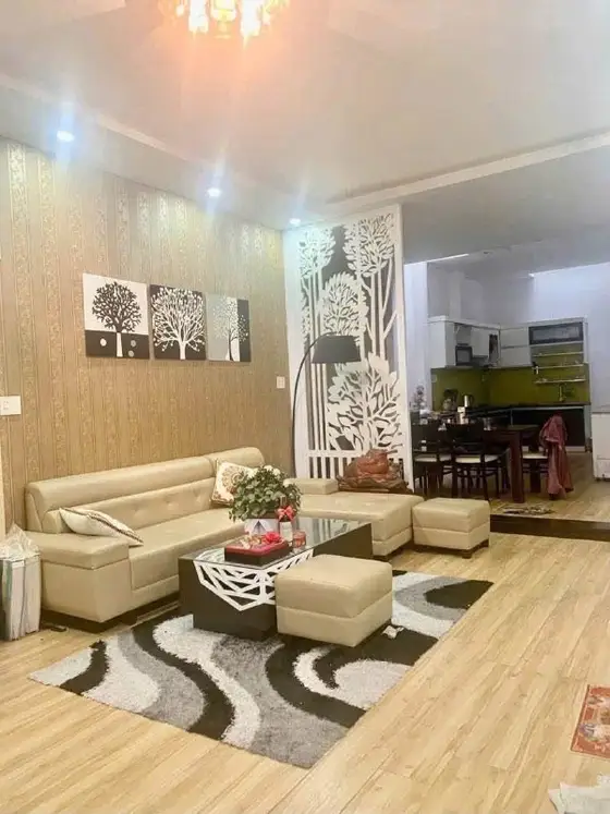 Дом 3 спальни центр Нячанга, фото 1