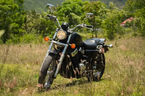 Honda VT400S 2010, фото 1