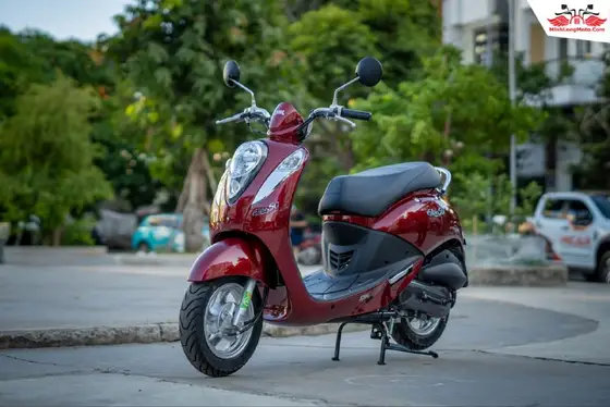 SYM Elite 50cc 2026, фото 1