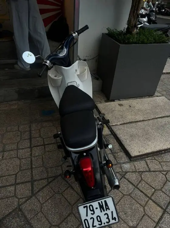 Cub Ally Classic 110cc, фото 3