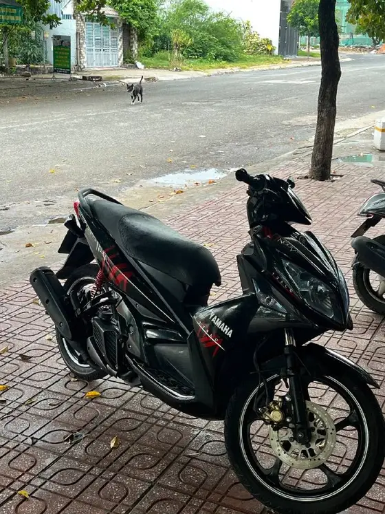 Yamaha Nouvo 4, фото 3