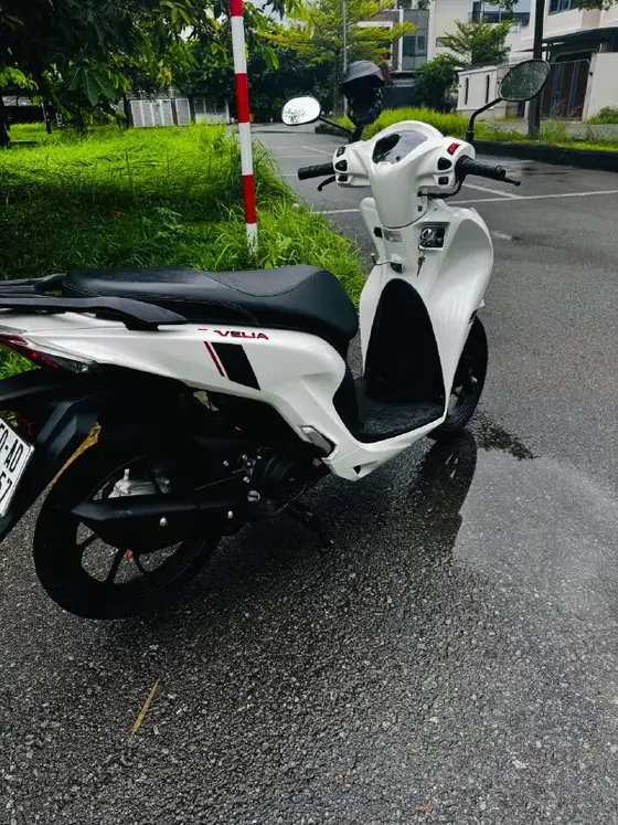 Espero Velia 50cc 2026, фото 3