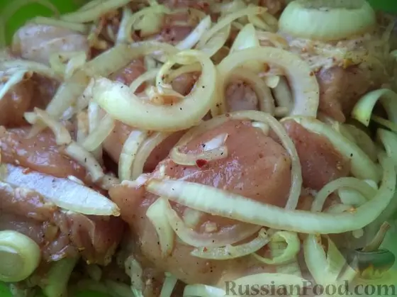 Шашлык из свинины 500 г, фото 1