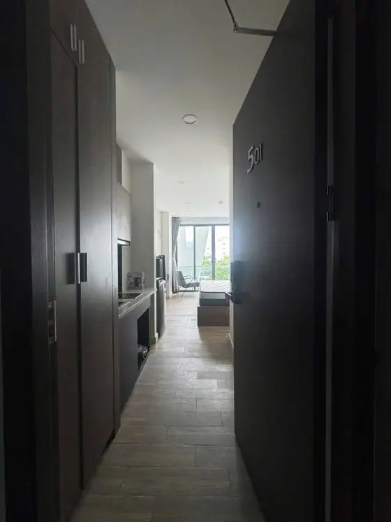 Студия 35 м² с питомцами, фото 2