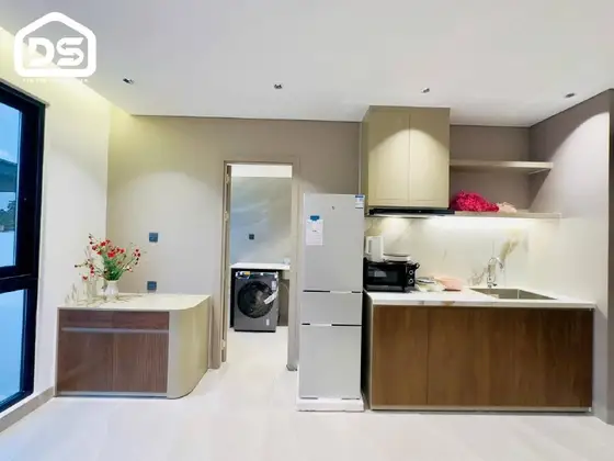 Однокомнатная квартира 55 м² меблированная, фото 3