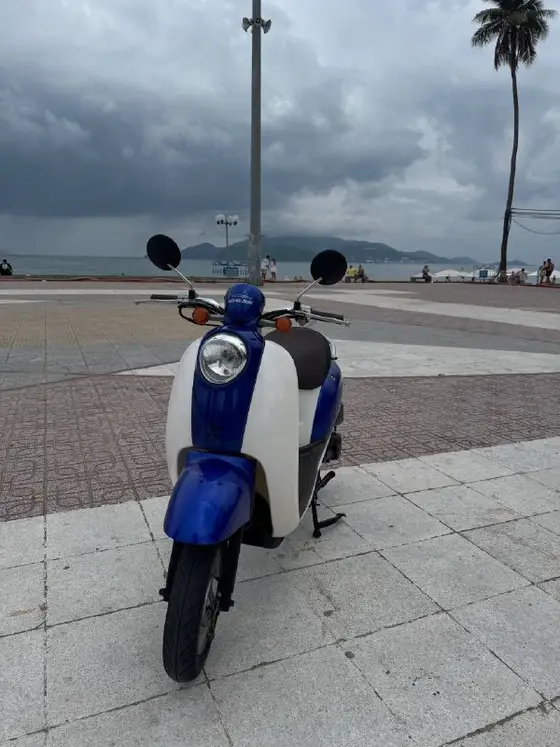 Honda Scoopy 2018 50 кубов, фото 1