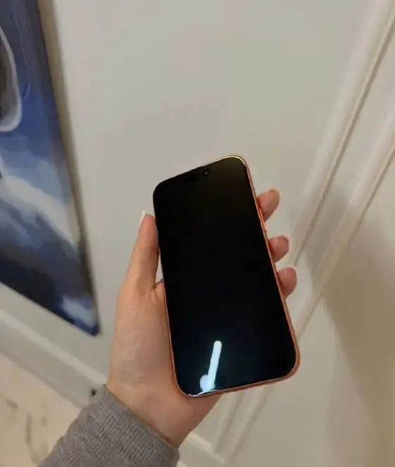 iPhone 17 Pro 256 ГБ, фото 2