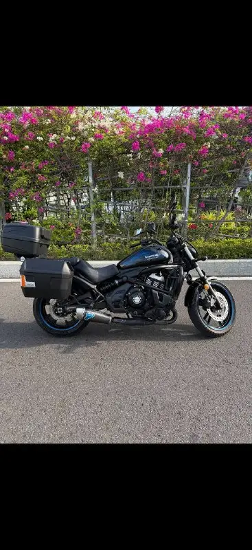 Kawasaki Vulcan 650 2021, фото 2