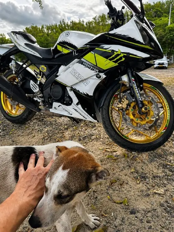 Yamaha R15v2 2015 года, фото 1