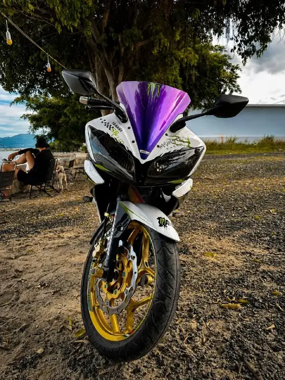 Yamaha R15v2 2015 года, фото 2