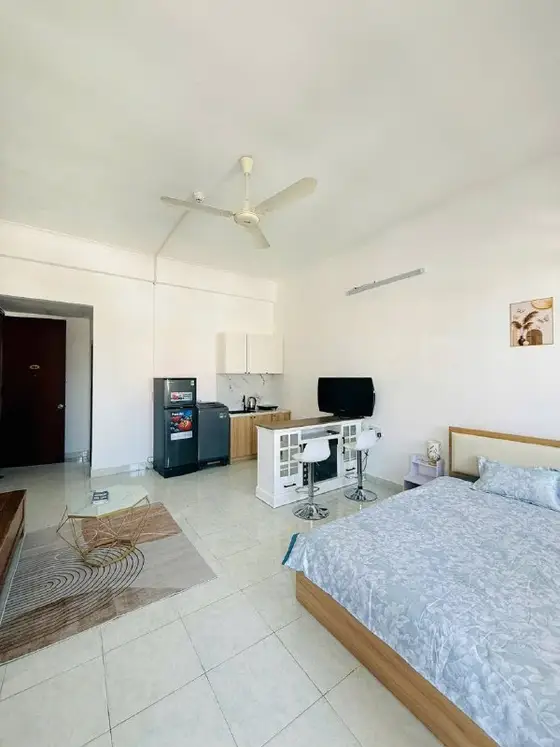 Студия 45 м² в центре, фото 1