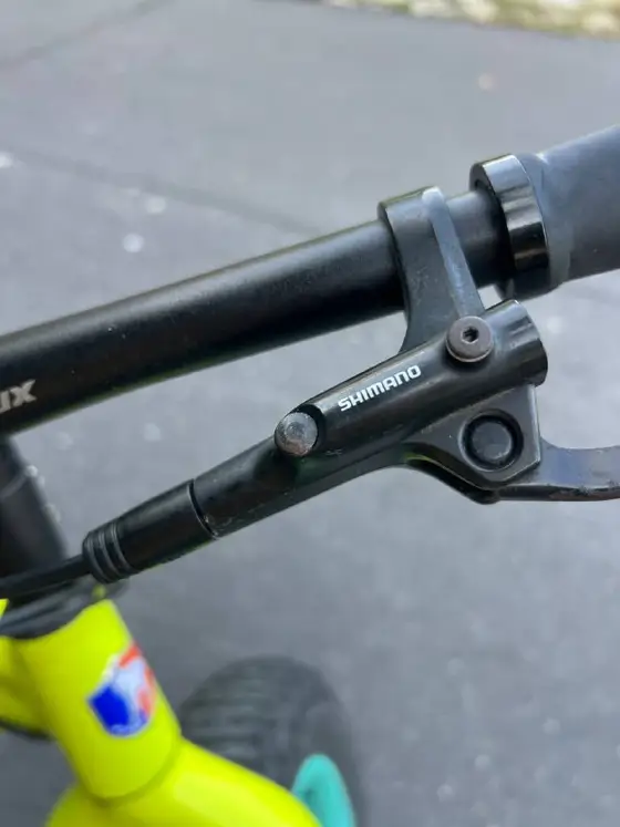 FAT Bike Chevaux TOTO, фото 2
