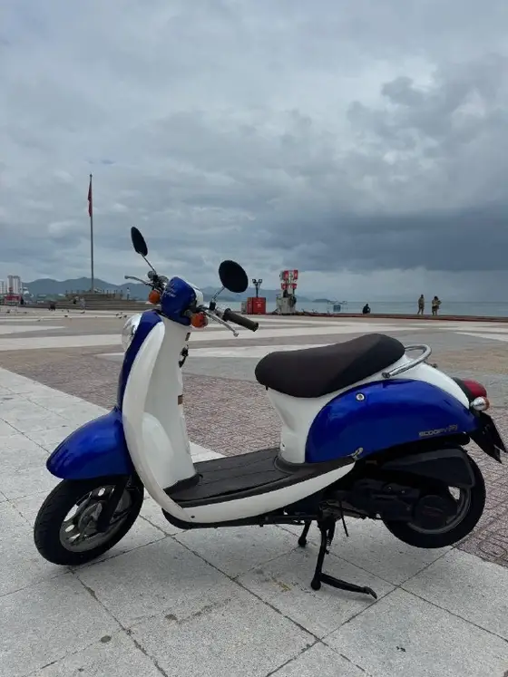 Скутер Honda Scoopy 2018, фото 2