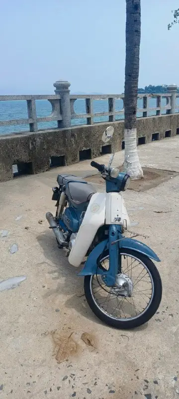 Honda Cub 50, фото 3