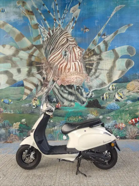 Скутер Vespa Sadoka 50cc, фото 2