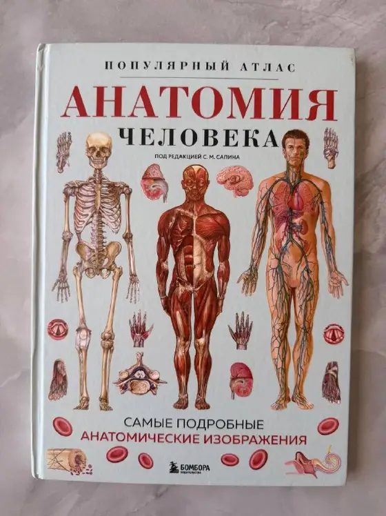 Книги: Атлас анатомии, Сафари, Кошки, фото 1