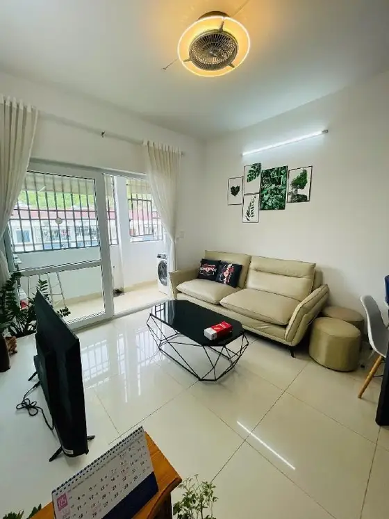Двухкомнатная квартира Binh Phu 2, фото 1