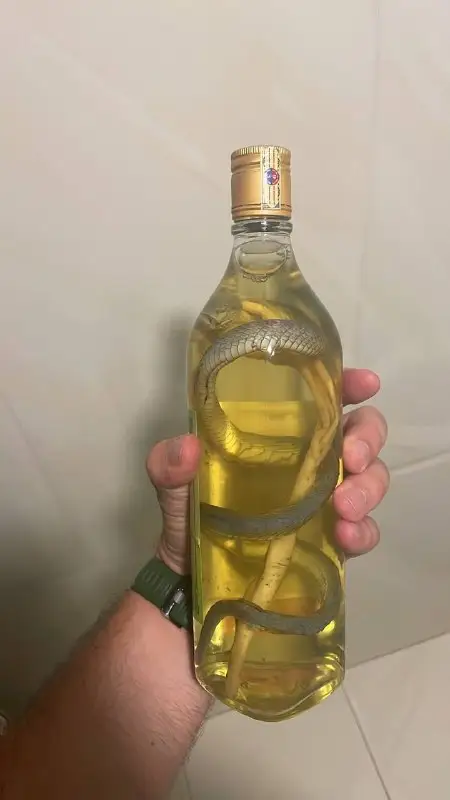 Ром со змеей, фото 1