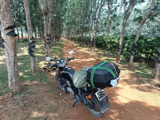 Suzuki EN 2017 150 кубов, фото 2